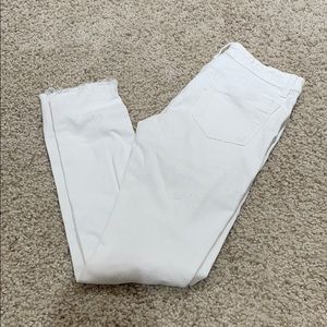 Indigo Rein Jeans